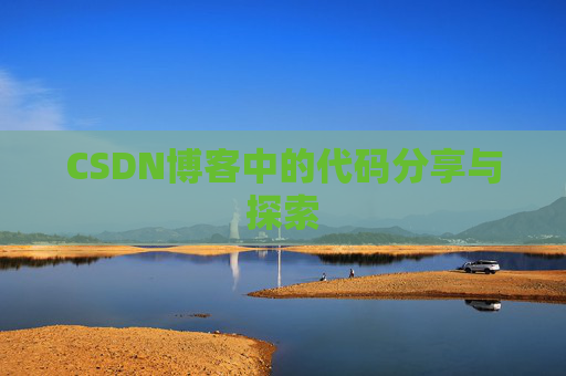CSDN博客中的代码分享与探索